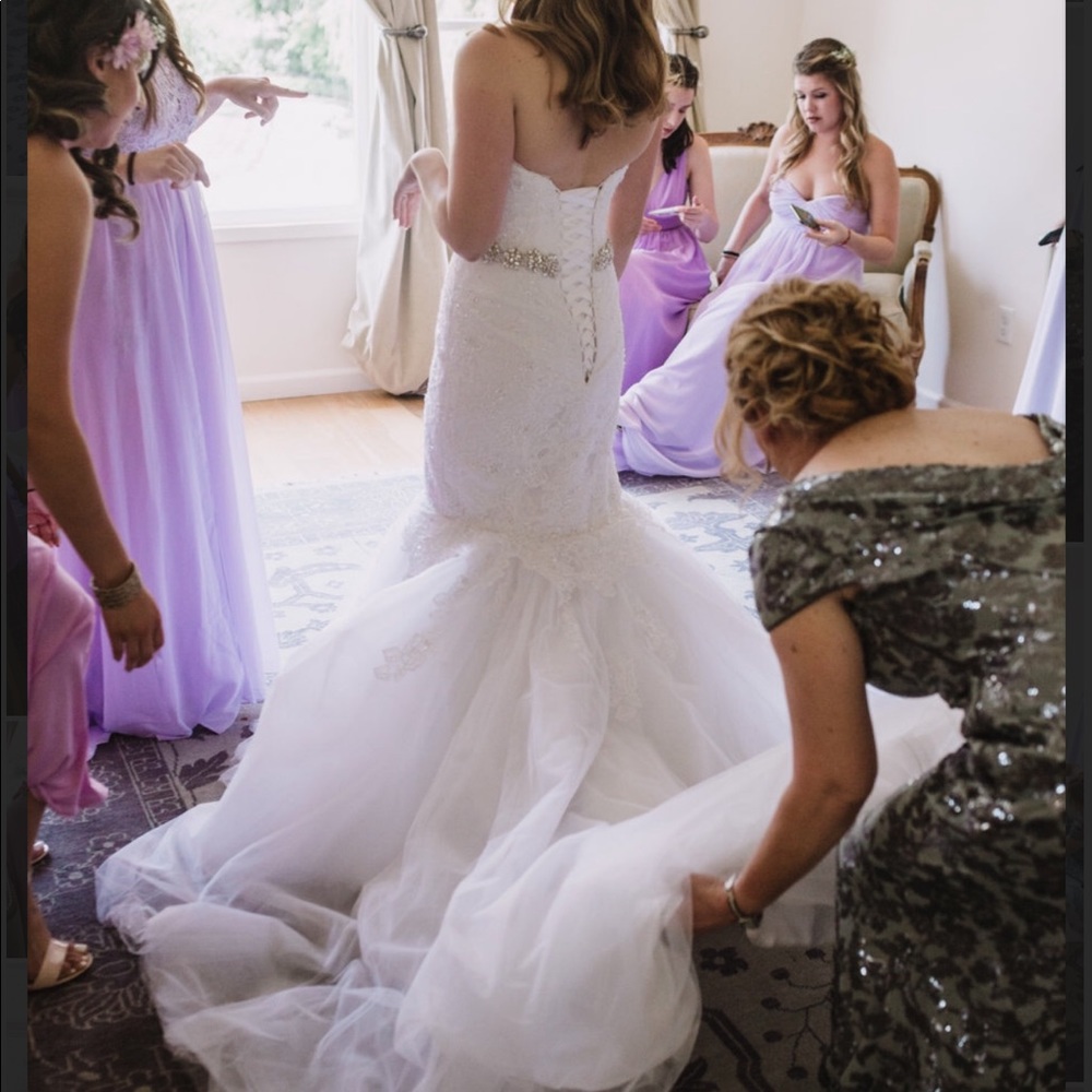 Wedding dress and lace veil
